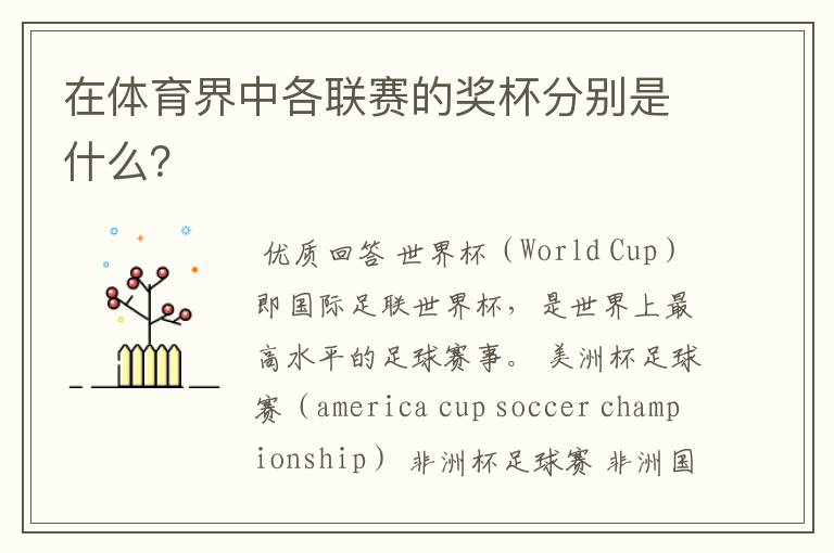 在体育界中各联赛的奖杯分别是什么?