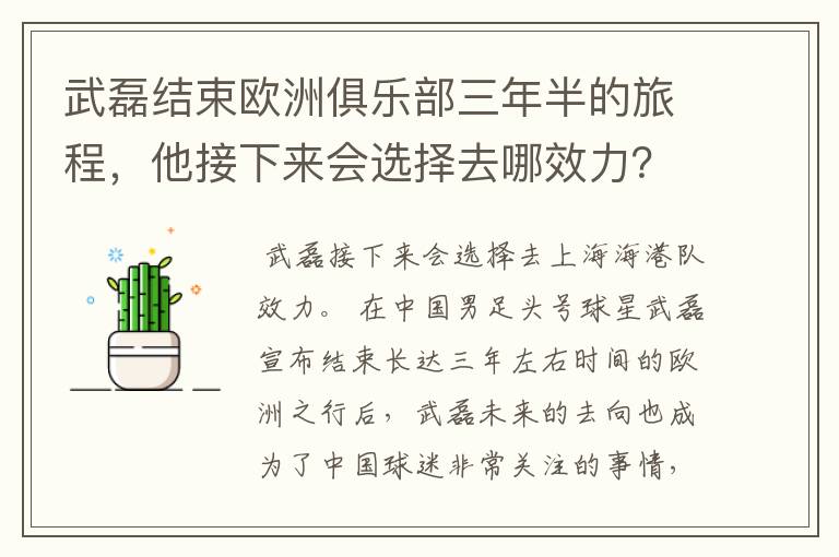 武磊结束欧洲俱乐部三年半的旅程,他接下来会选择去哪效力?
