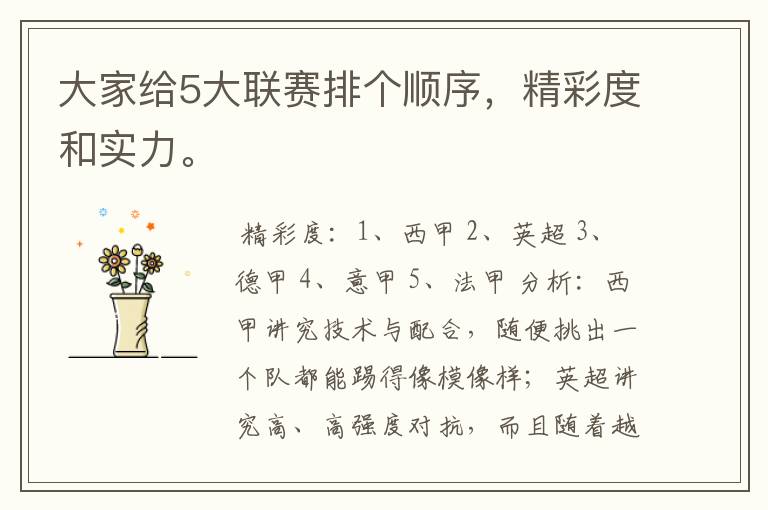 大家给5大联赛排个顺序,精彩度和实力。