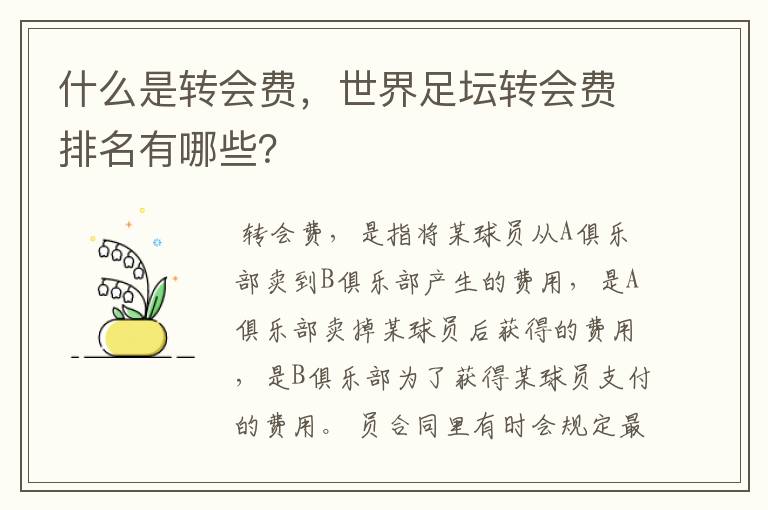 什么是转会费,世界足坛转会费排名有哪些?