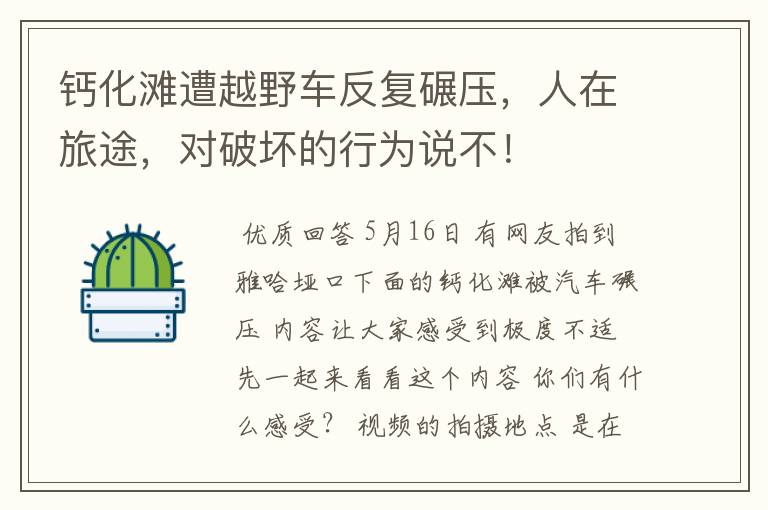 钙化滩遭越野车反复碾压,人在旅途,对破坏的行为说不!
