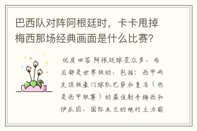 巴西队对阵阿根廷时,卡卡甩掉梅西那场经典画面是什么比赛?在哪比赛的?