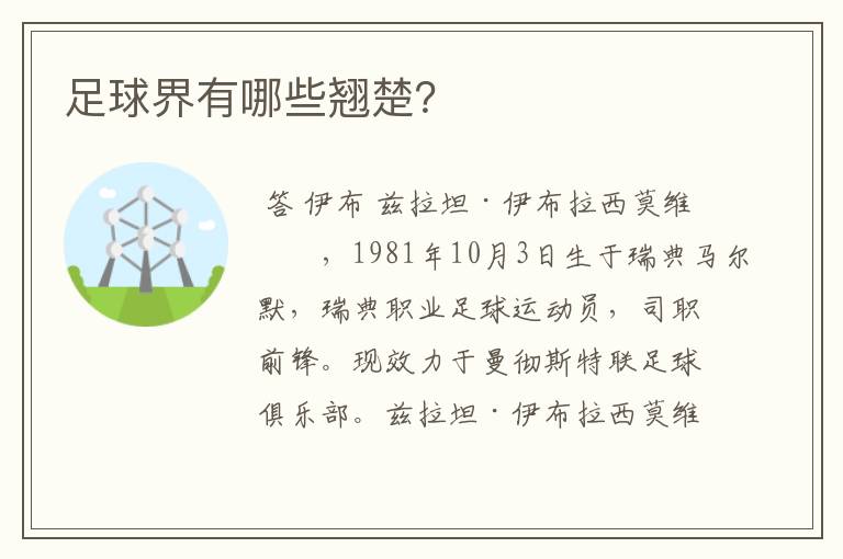 足球界有哪些翘楚?