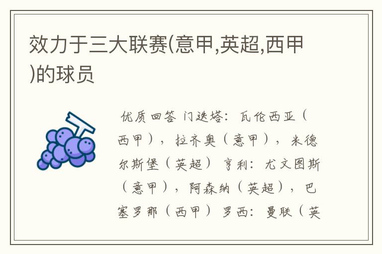 效力于三大联赛(意甲,英超,西甲)的球员