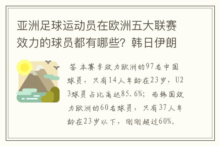 亚洲足球运动员在欧洲五大联赛效力的球员都有哪些?韩日伊朗 都是比较多吧!