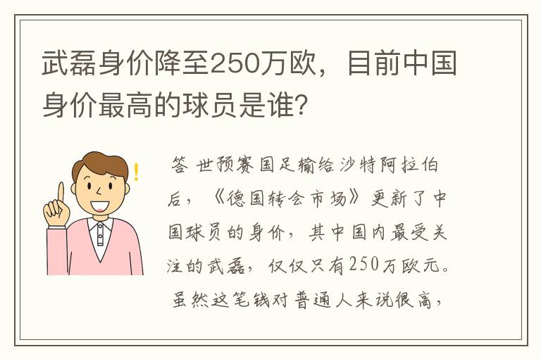 武磊身价降至250万欧,目前中国身价最高的球员是谁?