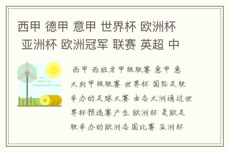 西甲 德甲 意甲 世界杯 欧洲杯 亚洲杯 欧洲冠军 联赛 英超 中超 分别是什么意思啊?