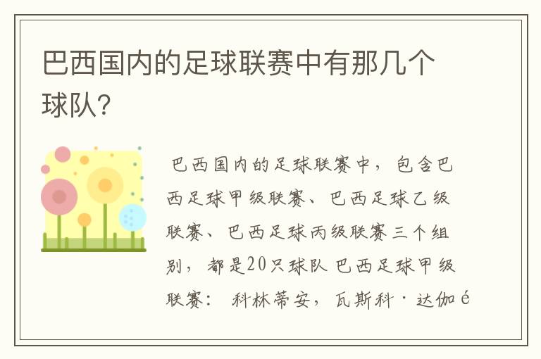 巴西国内的足球联赛中有那几个球队?