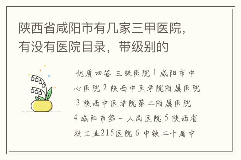 陕西省咸阳市有几家三甲医院,有没有医院目录,带级别的