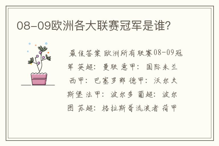 08-09欧洲各大联赛冠军是谁?