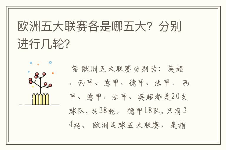 欧洲五大联赛各是哪五大?分别进行几轮?