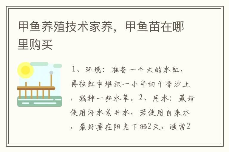 甲鱼养殖技术家养,甲鱼苗在哪里购买