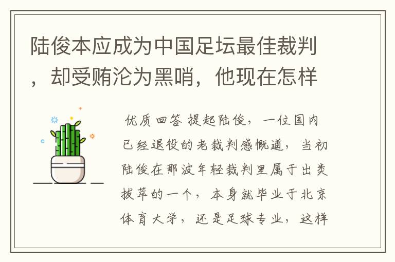 陆俊本应成为中国足坛最佳裁判,却受贿沦为黑哨,他现在怎样了?