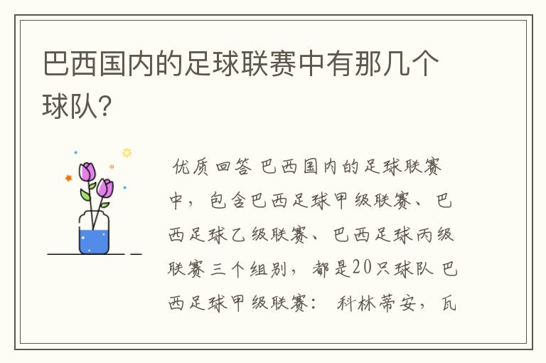 巴西国内的足球联赛中有那几个球队?