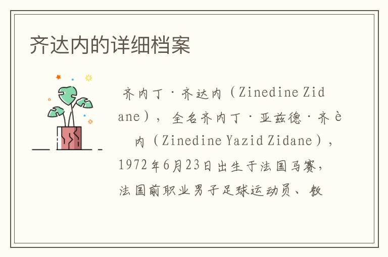 齐达内的详细档案