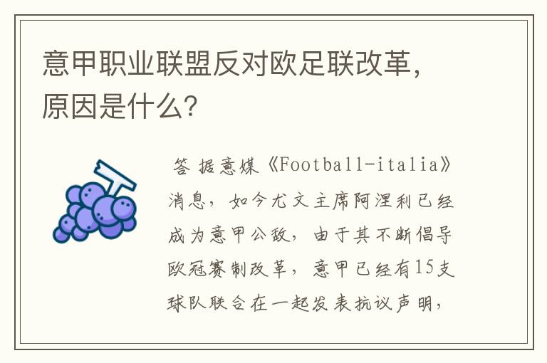 意甲职业联盟反对欧足联改革,原因是什么?