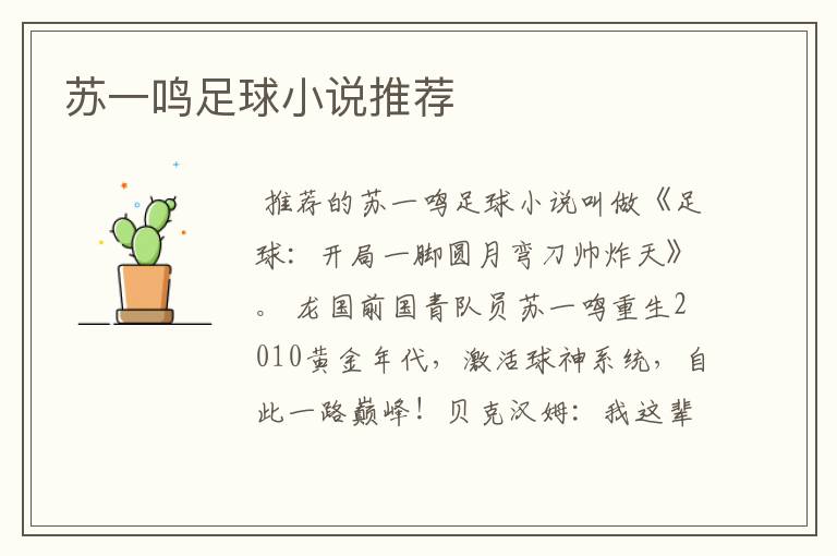 苏一鸣足球小说推荐