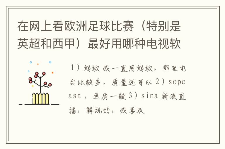 在网上看欧洲足球比赛(特别是英超和西甲)最好用哪种电视软件呢?