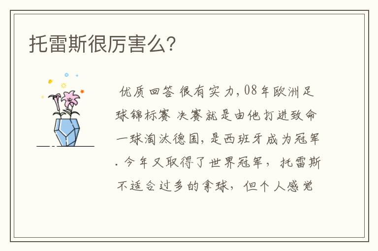 托雷斯很厉害么?