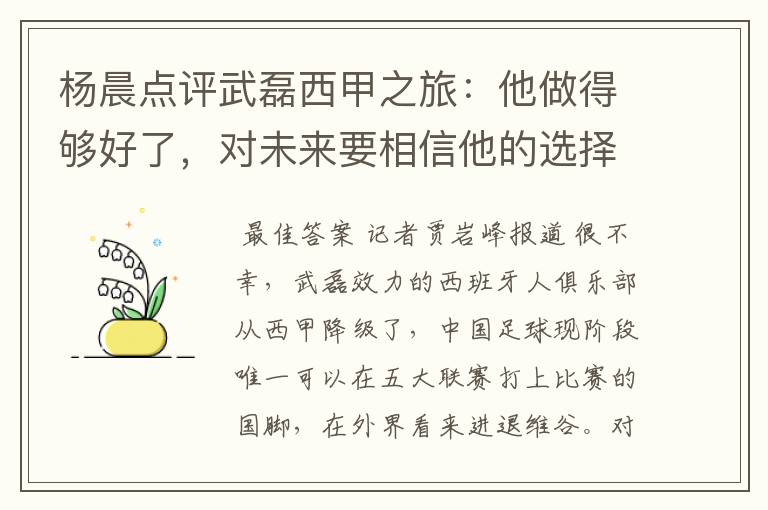 杨晨点评武磊西甲之旅:他做得够好了,对未来要相信他的选择