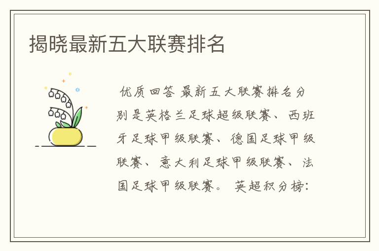 揭晓最新五大联赛排名