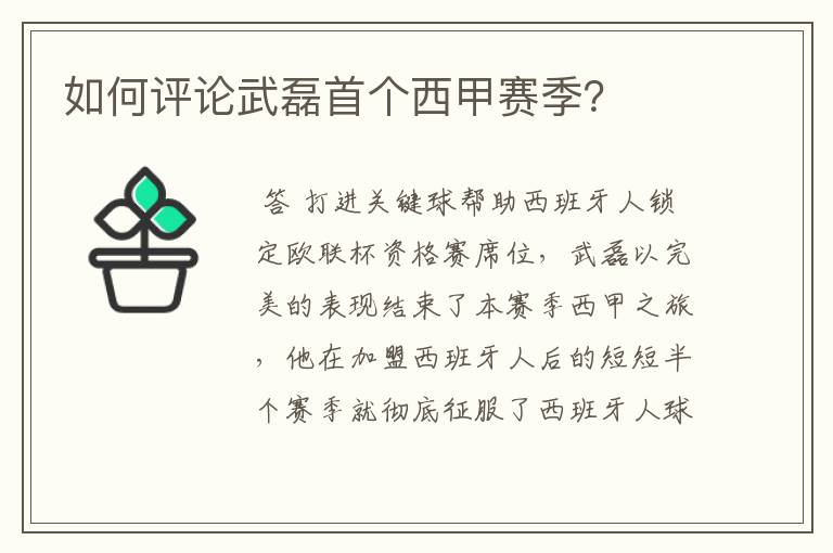 如何评论武磊首个西甲赛季?