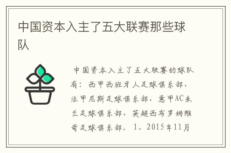 中国资本入主了五大联赛那些球队