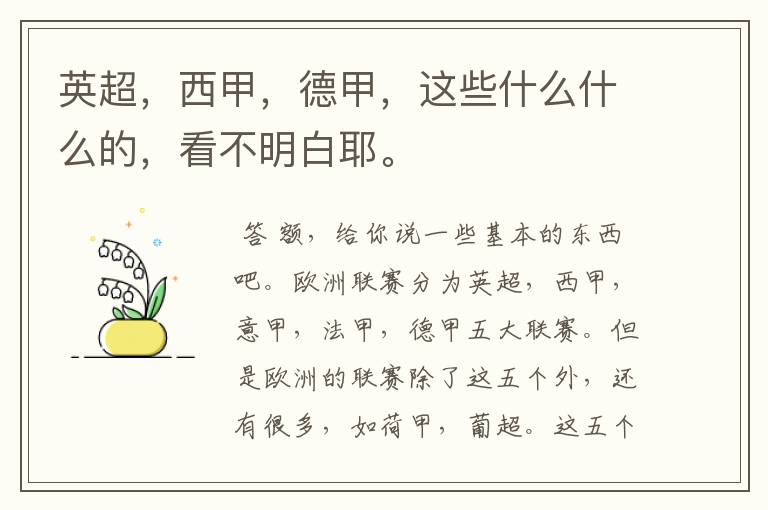 英超,西甲,德甲,这些什么什么的,看不明白耶。