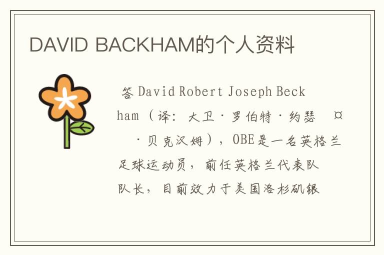 DAVID BACKHAM的个人资料