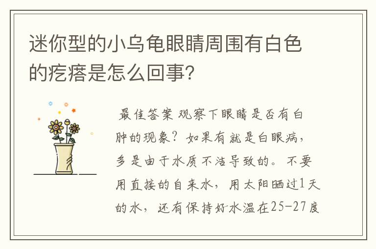 迷你型的小乌龟眼睛周围有白色的疙瘩是怎么回事?