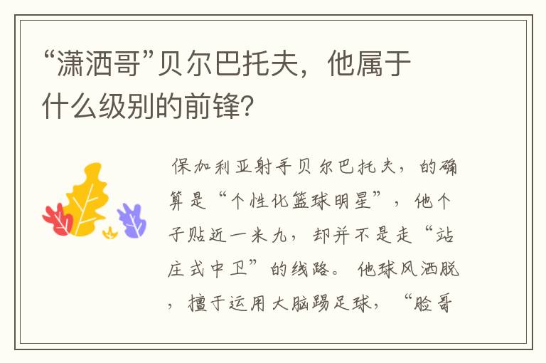 “潇洒哥”贝尔巴托夫,他属于什么级别的前锋?