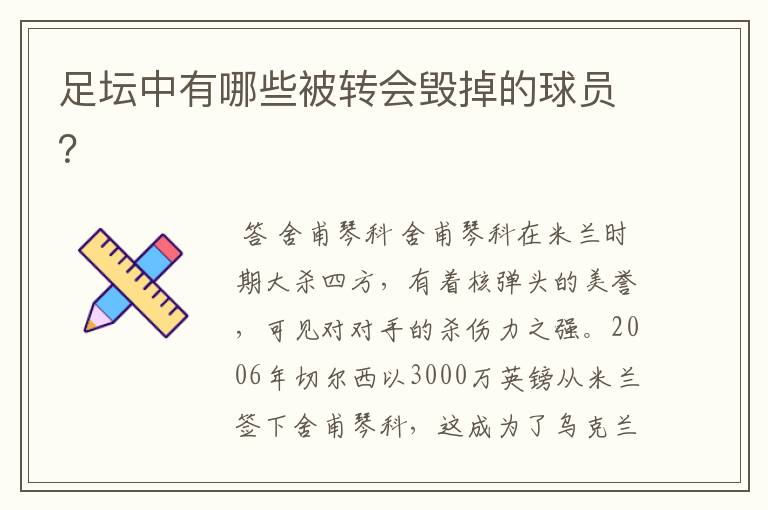 足坛中有哪些被转会毁掉的球员?