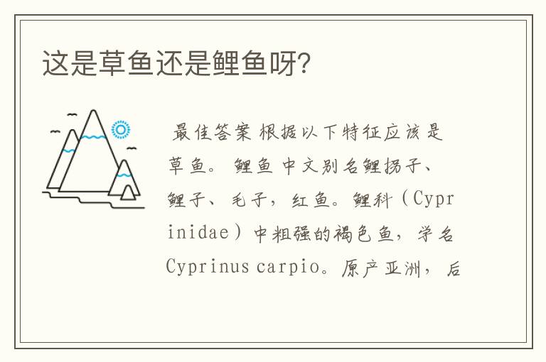 这是草鱼还是鲤鱼呀?