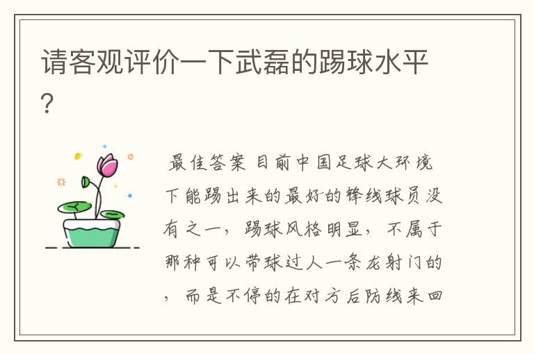 请客观评价一下武磊的踢球水平?