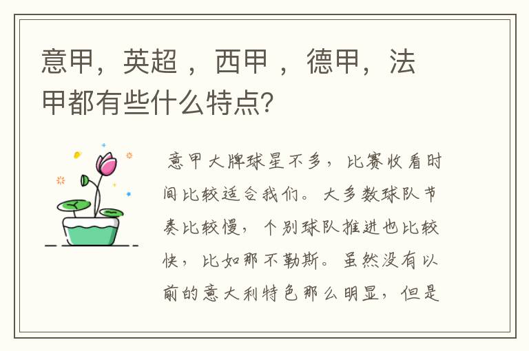 意甲,英超 ,西甲 ,德甲,法甲都有些什么特点?