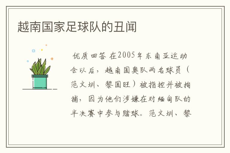 越南国家足球队的丑闻