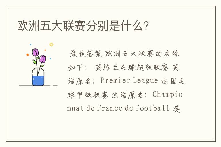 欧洲五大联赛分别是什么?