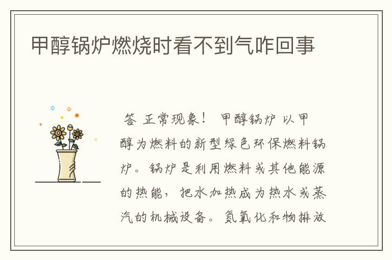 甲醇锅炉燃烧时看不到气咋回事