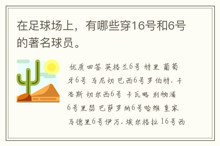 在足球场上,有哪些穿16号和6号的著名球员。