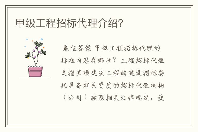 甲级工程招标代理介绍?