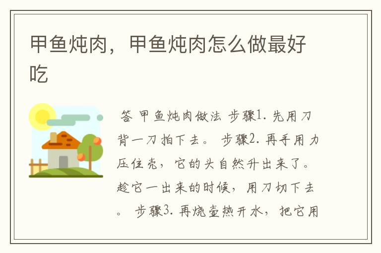 甲鱼炖肉,甲鱼炖肉怎么做最好吃