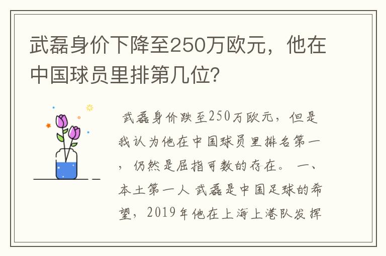 武磊身价下降至250万欧元,他在中国球员里排第几位?
