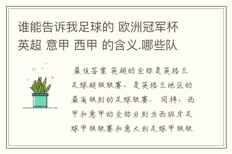 谁能告诉我足球的 欧洲冠军杯 英超 意甲 西甲 的含义.哪些队 怎么进行比赛的.