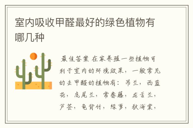 室内吸收甲醛最好的绿色植物有哪几种