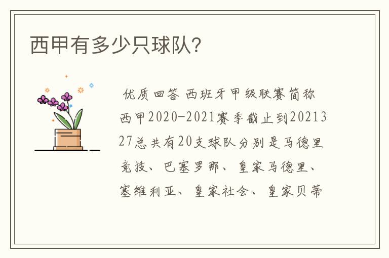 西甲有多少只球队?