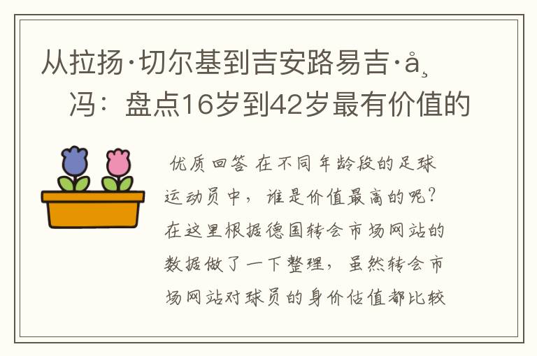 从拉扬·切尔基到吉安路易吉·布冯:盘点16岁到42岁最有价值的球员