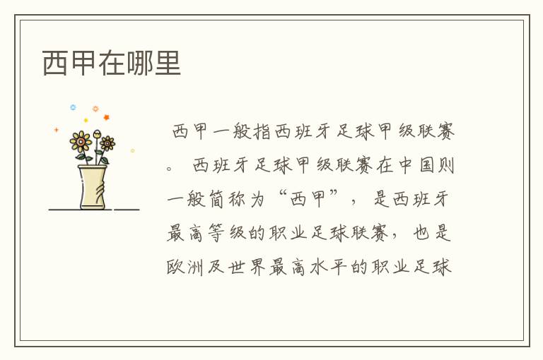 西甲在哪里