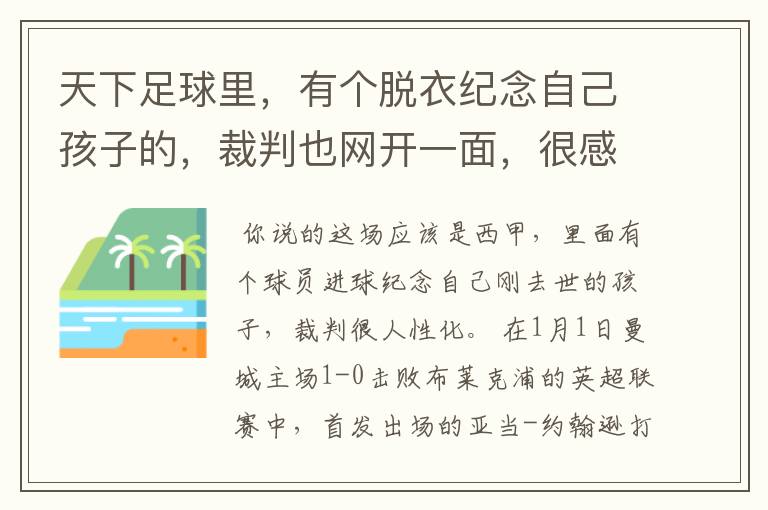 天下足球里,有个脱衣纪念自己孩子的,裁判也网开一面,很感人,那个系列叫什么名字。