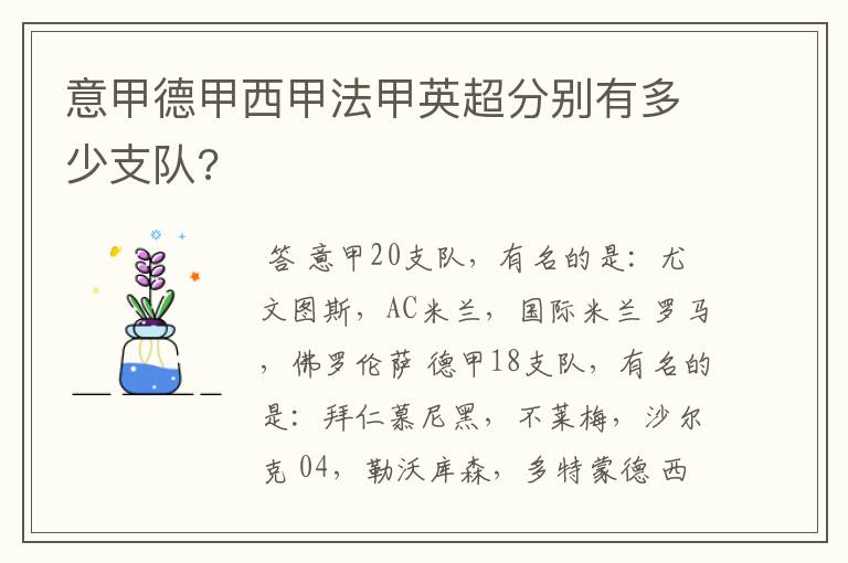 意甲德甲西甲法甲英超分别有多少支队?
