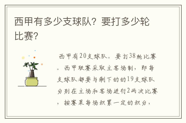 西甲有多少支球队?要打多少轮比赛?